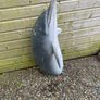 Dolphin model life size Image 3