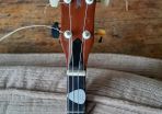 tenor banjo