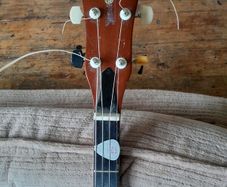 tenor banjo
