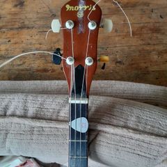 tenor banjo