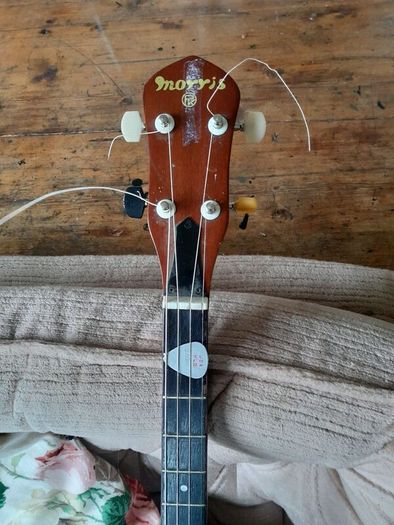 tenor banjo