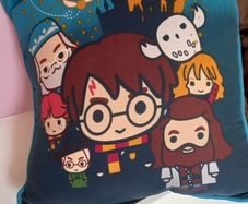 Cushion