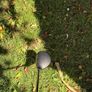Ping G425 Max 7 Wood Image 4