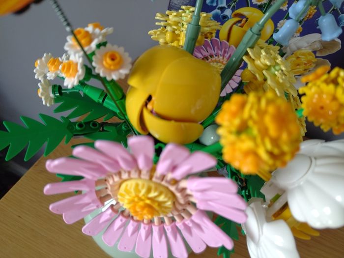 LEGO Botanicals Flower Sets