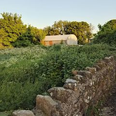 Handyman available Co. Meath