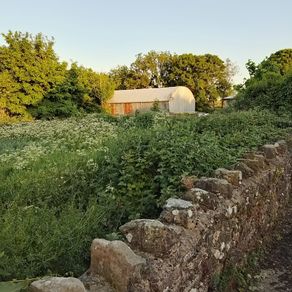 Handyman available Co. Meath