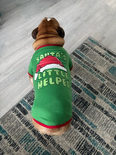 Dog Christmas jumper