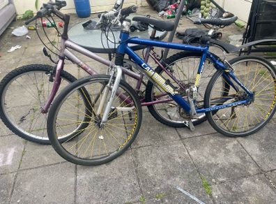 bikes