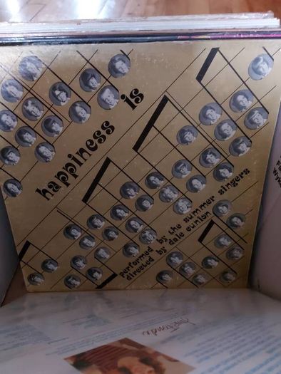 Vintage Vinyl LPs