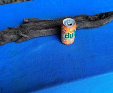 bog oak