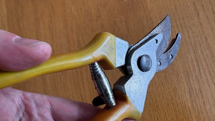 Secateurs