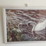 small picture Image 2