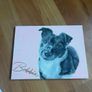 personalised pet painting Image 2