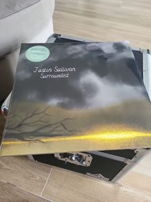 Justin sullivan surrounded 2 vinyl