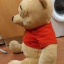 Giant Winnie Pooh Image 6