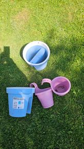 Plant pots