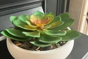 New Artificial Succulent Plant in white pot