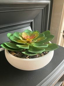 New Artificial Succulent Plant in white pot