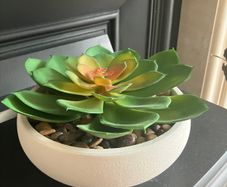 New Artificial Succulent Plant in white pot
