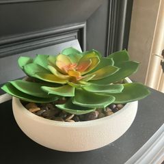 New Artificial Succulent Plant in white pot