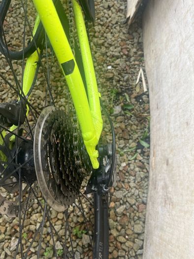 Trek Dual Sport 3