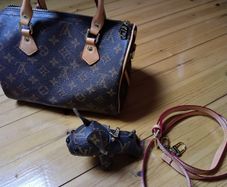 LV inspired handbag