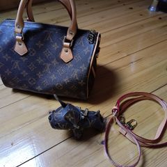 LV inspired handbag