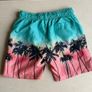 Swimming Shorts Image 3