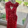 Jenny D Red Dress Image 5