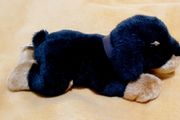 Brand New Zaks Stuffed Plush Puppy