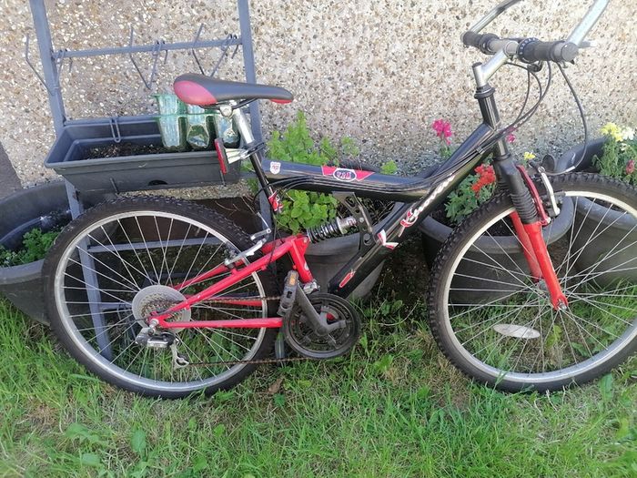 Bicycle with extras