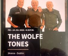 The Wolfe Tones 3 arena Dublin standing