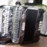 Button Accordion Image 5