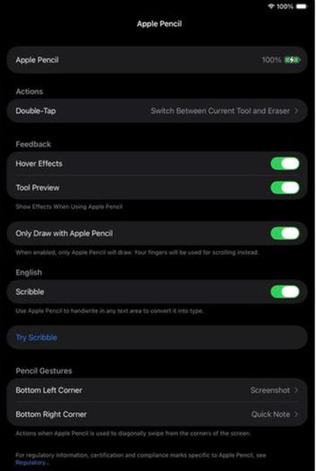 Apple iPad Pro 12.9 inch (6th Gen, M2) - 512GB Wi-Fi + Apple Pencil 2