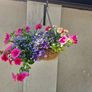 Hanging basket Image 2