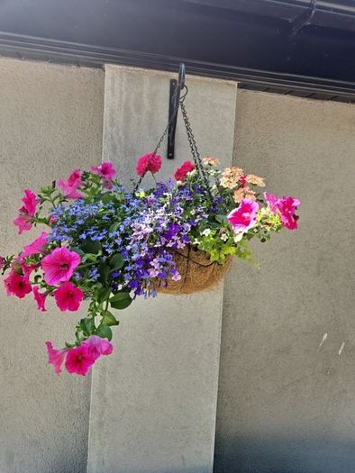 Hanging basket