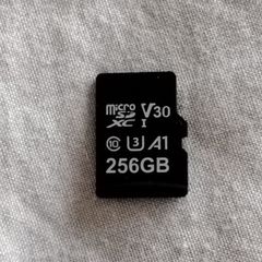 256GB Micro SD Card