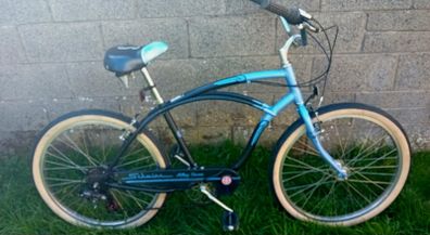 Schwinn cruiser