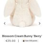 New JELLYCAT Medium Blossom Cream Berry Bunny Image 3