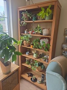 Beautiful Hemnes bookcase (discontinued)
