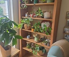 Beautiful Hemnes bookcase (discontinued)