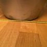 Large Indoor Plant Pot Image 4