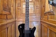 PRS M. Tremonti SE 2009