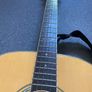 Greg Bennett Design  D-5 Acoustic Guitar Samick D5 Six Strings Image 5