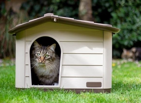 Outdoor Cat, Dog and Rabbit House, Pet Kennel and Shelter Brown
