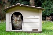 Outdoor Cat, Dog and Rabbit House, Pet Kennel and Shelter Brown