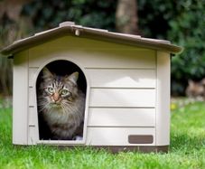 Outdoor Cat, Dog and Rabbit House, Pet Kennel and Shelter Brown