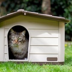 Outdoor Cat, Dog and Rabbit House, Pet Kennel and Shelter Brown
