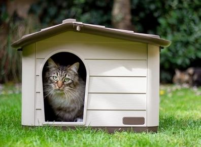 Outdoor Cat, Dog and Rabbit House, Pet Kennel and Shelter Brown