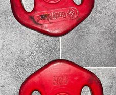 2x5kg standard 1" rubber weights